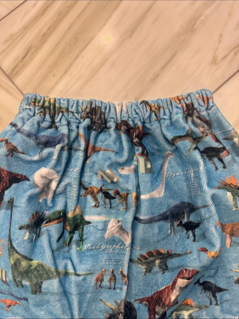 Dinosaur Pool or Bath Towel For Kids, 25.6 inches Length, Dinosaur World print